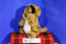 Morehead Endangered Young'uns Cheetah Cub 1997 Plush