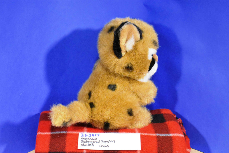 Morehead Endangered Young'uns Cheetah Cub 1997 Plush