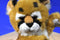 Morehead Endangered Young'uns Cheetah Cub 1997 Plush