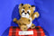 Morehead Endangered Young'uns Cheetah Cub 1997 Plush
