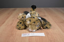 Wishpets Daisy Lynx 2011 Beanbag Plush