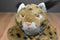 Wishpets Daisy Lynx 2011 Beanbag Plush