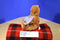 Anne Geddes Baby Bears 1997 Beanbag Plush