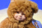 Anne Geddes Baby Bears 1997 Beanbag Plush