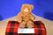 Anne Geddes Baby Bears 1997 Beanbag Plush
