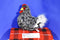 Douglas Pepper Silver Laced Hen 2017 Plush