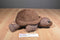 Wild Republic Brown Tortoise 2013 Beanbag Plush