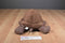 Wild Republic Brown Tortoise 2013 Beanbag Plush
