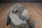 Wondertreats Inc. Brown and White Bunny Rabbit Plush