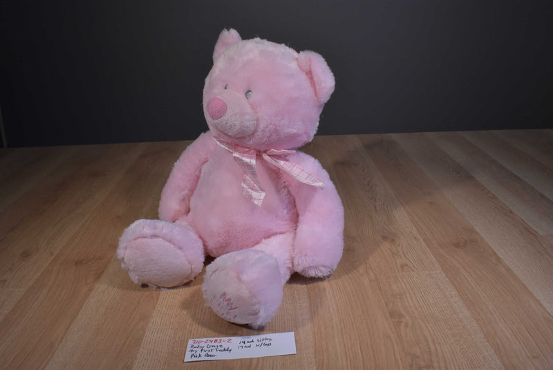 Baby Ganz My First Teddy Pink Bear Beanbag Plush