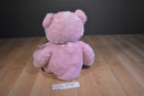 Baby Ganz My First Teddy Pink Bear Beanbag Plush