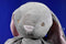 Kellytoy Baby Grey and Beige Bunny Rabbit Rattle Plush