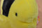 Ty Beanie Buddy Bubbles the Angel Fish 1998 Beanbag Plush