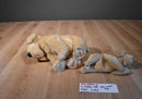 Ty Beanie Buddies and Babies Fetch Golden Retriever 1999/1997 Beanbag Plush
