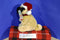 Demdaco Nat and Jules Christmas Pug 2012 Plush