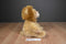 Aurora 2017 Tubbie Wubbies Lion Beanbag Plush
