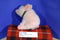 Gund Babe The Sheep Pig 1997 Plush