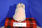 Gund Babe The Sheep Pig 1997 Plush
