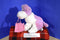 Commonwealth Pink and White Puppy Dog with Bag 2005 Beanbag Plush