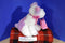 Commonwealth Pink and White Puppy Dog with Bag 2005 Beanbag Plush