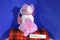 Commonwealth Pink and White Puppy Dog with Bag 2005 Beanbag Plush