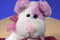 Commonwealth Pink and White Puppy Dog with Bag 2005 Beanbag Plush