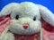 Aurora Lopsie Wopsie White Bunny Rabbit Pink Flower Ears Feet Plush
