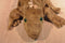 Caltoy Iguana Spider Goat Cow Hand Puppets