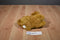 E&J Prima Classic Buff Cocker Spaniel Puppy Dog Plush