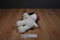Cedar Fair Peanuts Snoopy Sister Belle 2017 Plush