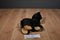 Aurora Dreamy Eyes Black Bear Barnum Beanbag Plush