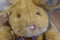 Animal Adventure Tan and White Bunny Rabbit 2002 Beanbag Plush