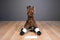 Ganz Brown and White Appaloosa Horse Spirit Plush