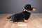 Jaag Scheels Black and Brown Dachshund Puppy Dog Plush