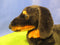 Melissa & Doug Dachshund Black Tan Smooth Coat Plush