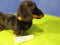Melissa & Doug Dachshund Black Tan Smooth Coat Plush