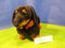 Melissa & Doug Dachshund Black Tan Smooth Coat Plush