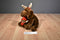 Hallmark Chocolate Lab With Antlers and Scarf Beanbag Plush