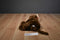 Hallmark Chocolate Lab With Antlers and Scarf Beanbag Plush