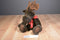 Boyd's Murray Moosehoofer Brown Moose 1985-2000 Beanbag Plush