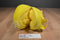 Warner Bro.s Tweety Bird Backpack