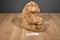 Kohl's Gund Brown Grizzly Bear Plush