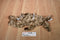 Ganz Choc O Hop Brown Bunny Rabbit Beanbag Plush