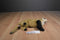Douglas Black Footed Ferret Beanbag Plush