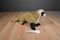 Douglas Black Footed Ferret Beanbag Plush