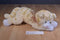 Gund Tabby Yellow Cat Le Chat  # 43101 Plush
