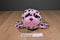 Aurora Destination Nation Pink Spotted Seal 2016 Beanbag Plush