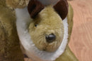 Ascool Australian Kangaroo With Joey and Koala Plush
