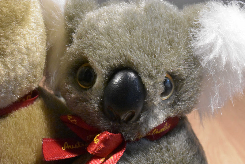 Ascool Australian Kangaroo With Joey and Koala Plush