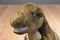 Douglas T-Rex Tyrannosaurus 2010 Beanbag Plush